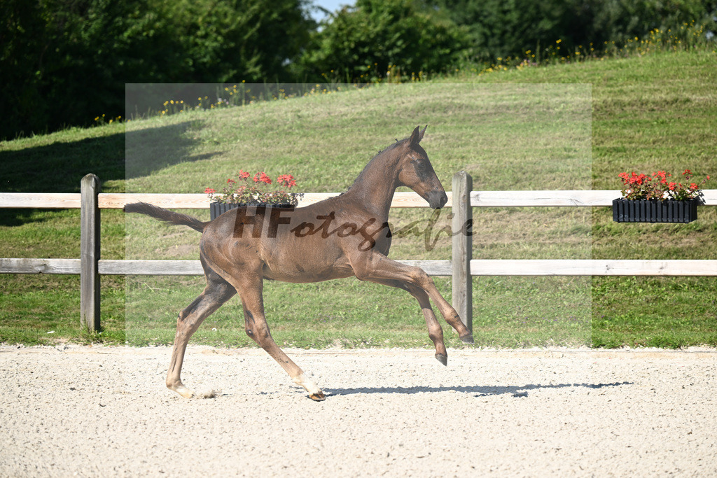 Kat-Nr. 4 Ironman Black M x De Niro_HF_Lechl_24250046 | hf-fotografie - Realizzato con Pictrs.com