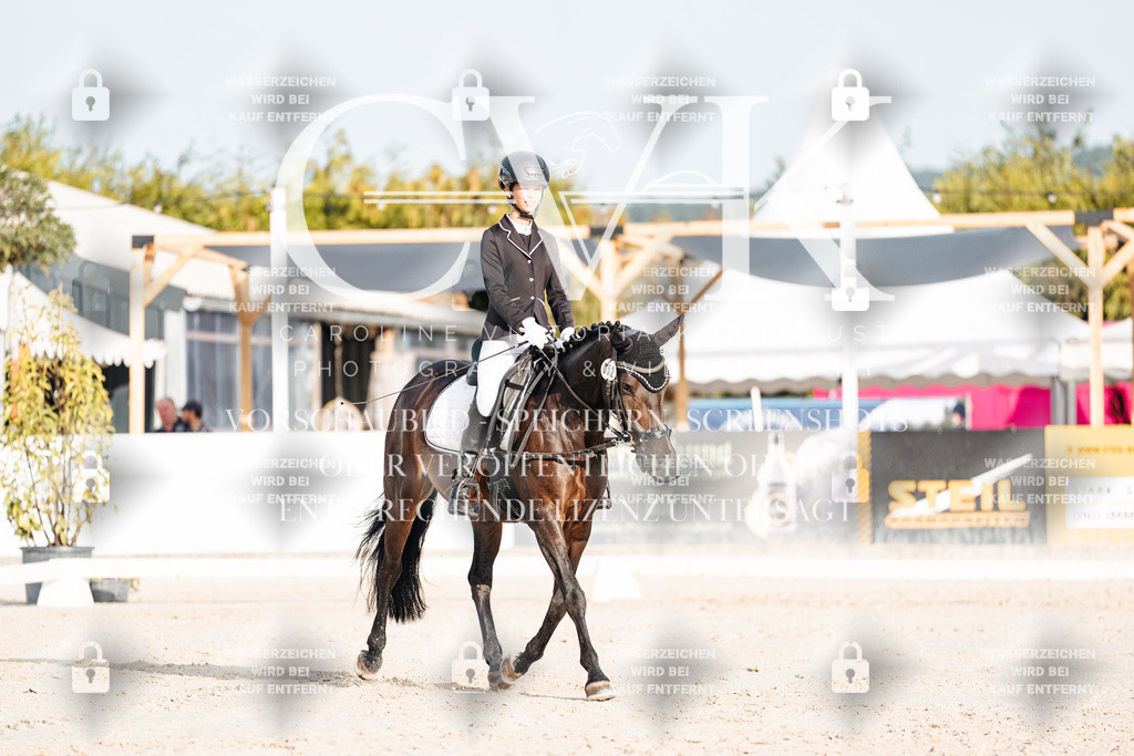 CK903764 | Turnierfotografie Pferdefotografie Trier Rheinland-Pfalz Pferdesport Reitsport Tierfotografie Sportfotografie Pferdevideo Pferdevideografie Equestrianvideography equestrianphotography  - Realisiert mit Pictrs.com