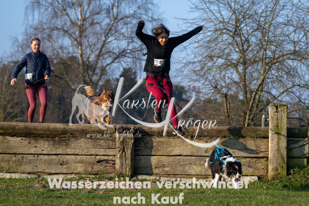 _ZZ90677 | kk-dogfotos