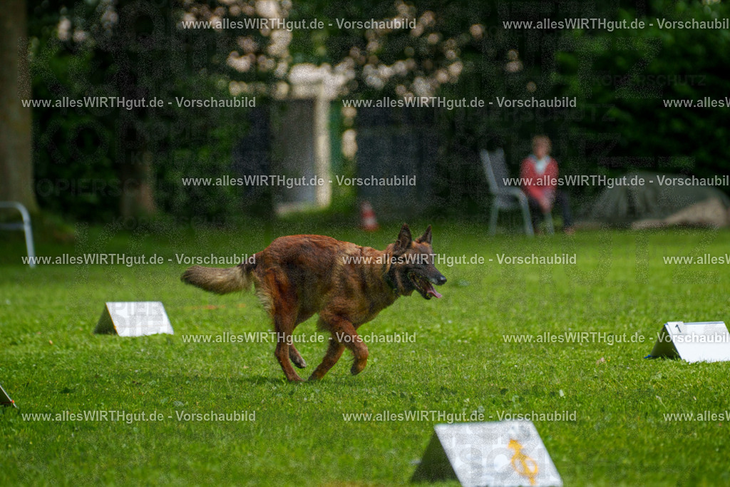@allesWIRTHgut_Tierfotografie - www.allesWIRTHgut.de - 7R503743 | Professionelle Tierfotografie in Mönchengladbach von Daniel Wirth (allesWIRTHgut). Liebevolle & natürliche Bilder von Hunden & Katzen für unvergessliche Erinnerungen.