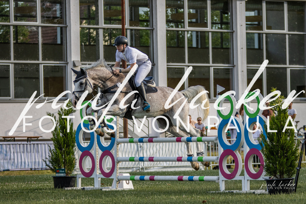 IMG_7795 | Erleben Sie dynamische Sport- und emotionale Tierfotografie in Süddeutschland mit Fotos von Paula. Spezialisiert auf Pferde- und Hundefotografie sowie Sportevents. Kontaktieren Sie mich für einzigartige und ausdrucksstarke Bilder Ihrer besonderen Momente. - Realisiert mit Pictrs.com