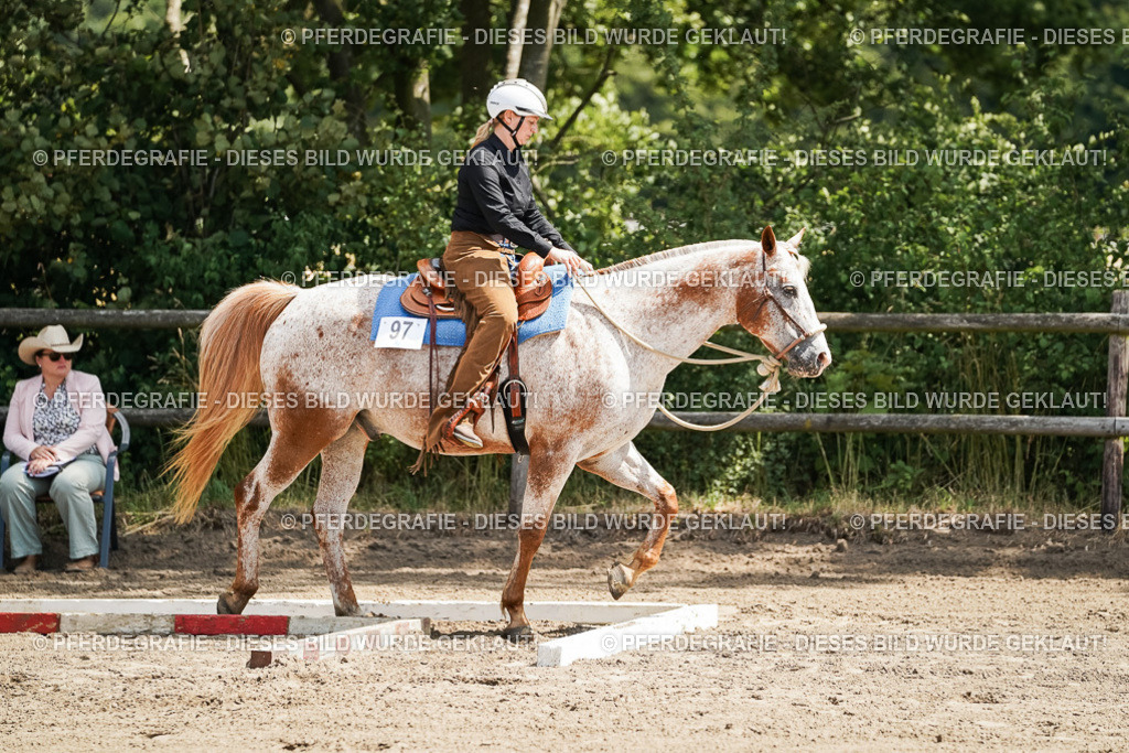 DSC06402 | Pferdegrafie