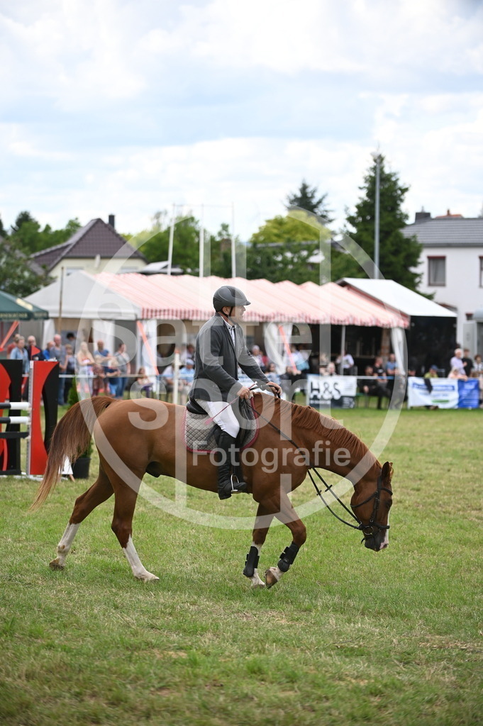 DSC_7205 | sattelsport - Realisiert mit Pictrs.com