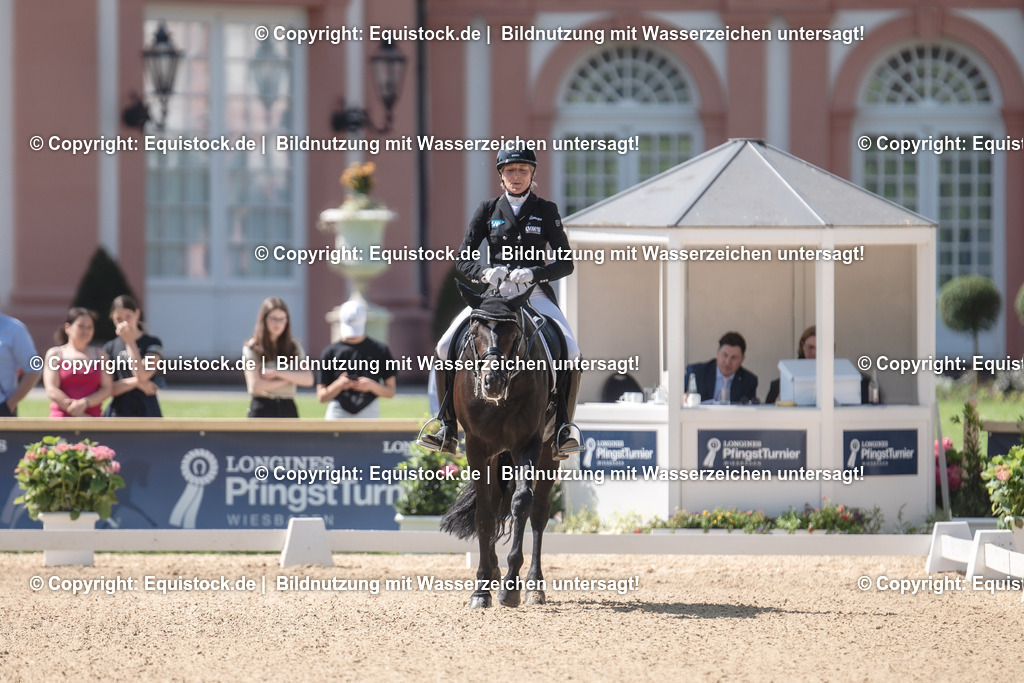 20230529_29_Louisdor_0066 | equistock