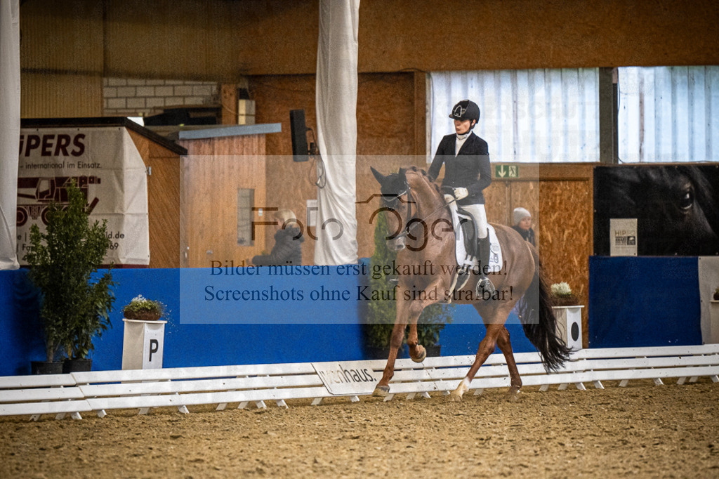 DOS_1011 | Entdecke hochwertige Reitturnierfotos von Foto Oger. Professionell, emotional und authentisch – jetzt Lieblingsmomente im Shop bestellen.Deutschlandweite Turnierfotografie. - Realisiert mit Pictrs.com