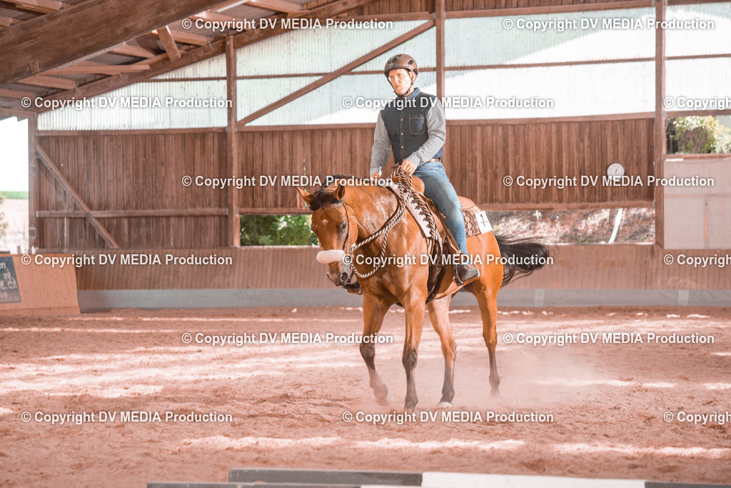 NE300573 | dv-media-shop - Realisiert mit Pictrs.com