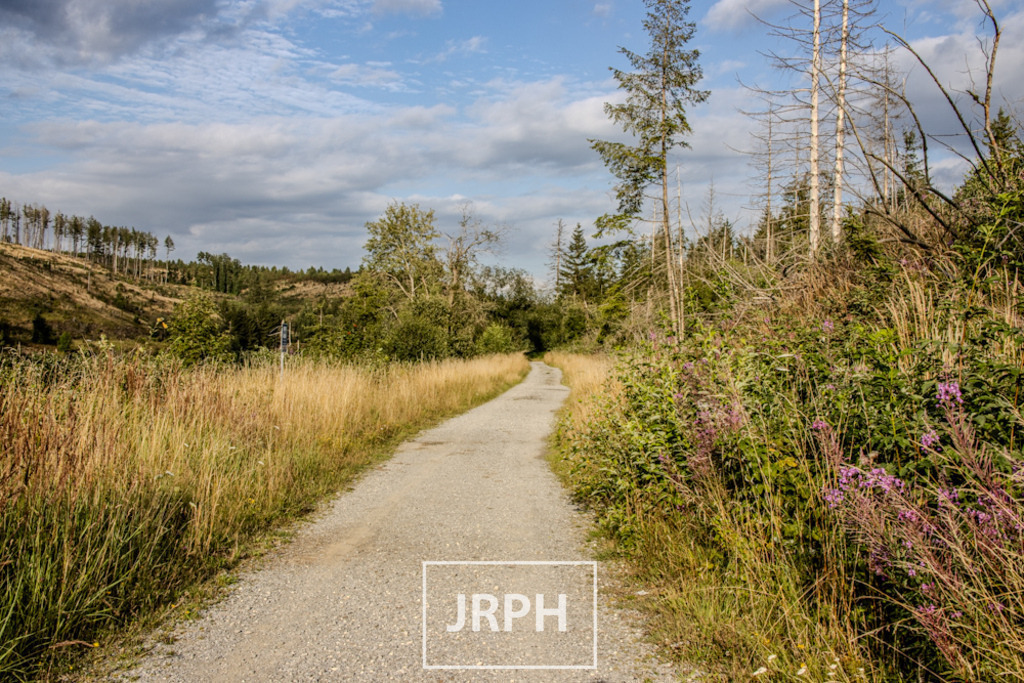 IMG_7962 | jrph - Realisiert mit Pictrs.com