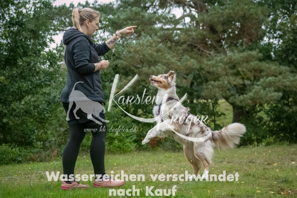 0925_ZZ90345-Bearbeitet | kk-dogfotos