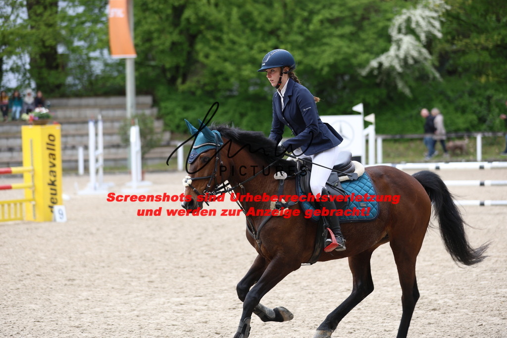 A40A2460 | lmwpictures - Realisiert mit Pictrs.com