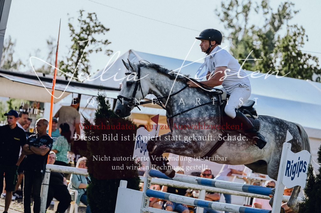 DSC_3053 | Pferde- und Turnierfotografie in Westsachsen. Pferdeportraits, Auftragszeichnungen und intuitive Kunst.