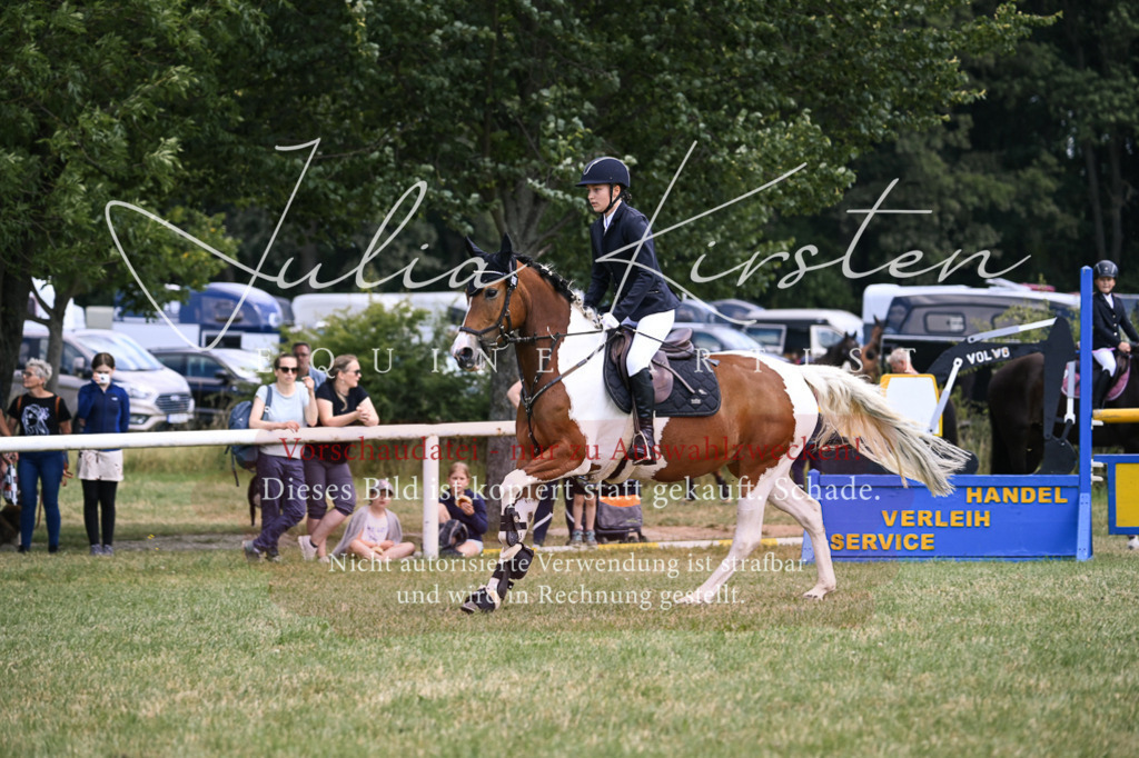 DSC_9346 | Pferde- und Turnierfotografie in Westsachsen. Pferdeportraits, Auftragszeichnungen und intuitive Kunst.