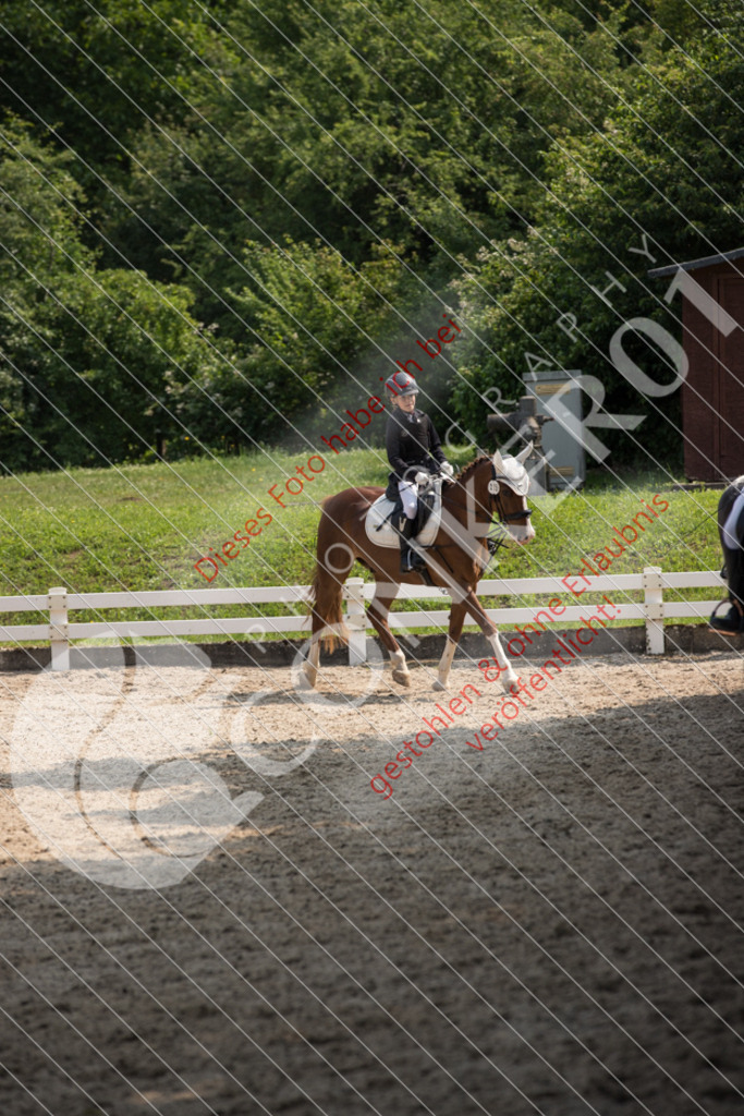 IMG_3424 | Sport-, Event- und Tierfotos in Profiqualität. Einfach auswählen, bestellen und herunterladen. Dein Moment – perfekt festgehalten.