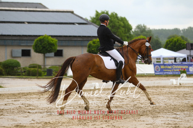 DKP40338 | Turniersportfotografie; Pferdefotografie; Dressurfotografie