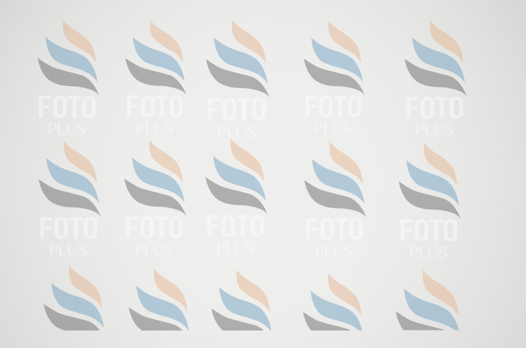 C1414 | holidayphoto