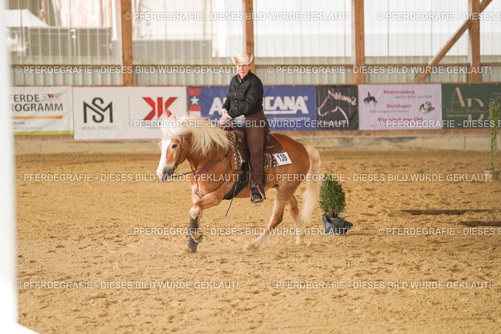 DSC02915 | Pferdegrafie