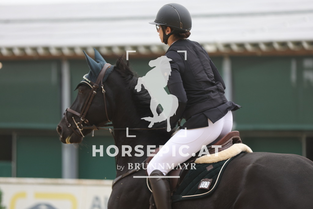 0P6A0852 | Willkommen bei Brunnmayr - Design & Fotografie – Ihrem Spezialisten für Reitturniere und Pferdeveranstaltungen in Oberösterreich, Salzburg und Bayern! Seit über 17 Jahren sind wir leidenschaftlich dabei.