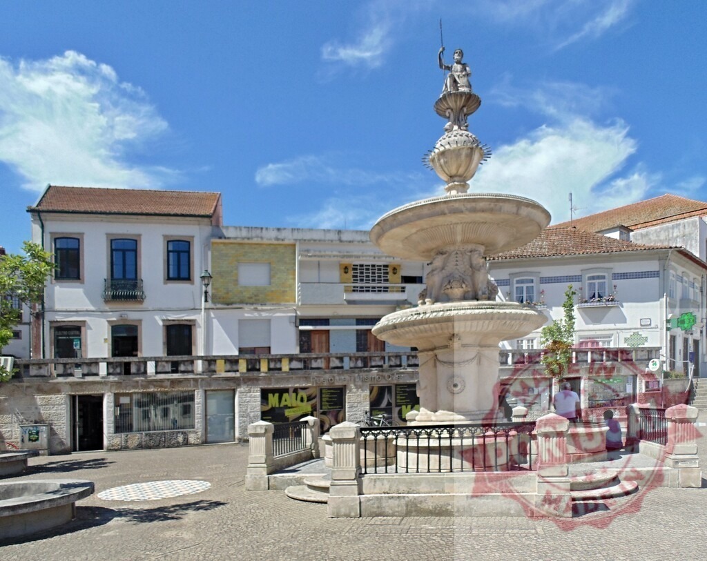 Aveiro Region - Portugal Caldas da Rainha town square fountain under sunny sky | Historic fountain with a sculpture in a Portuguese town square on a bright day - Realisiert mit Pictrs.com