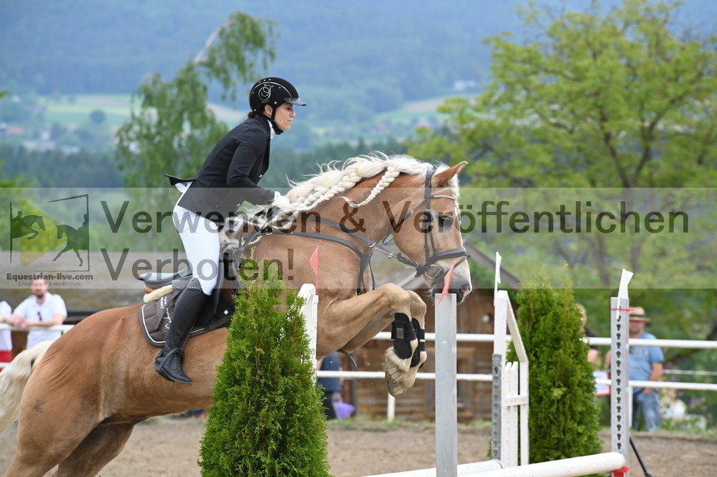 DSC_7923 | equestrian-live-com
