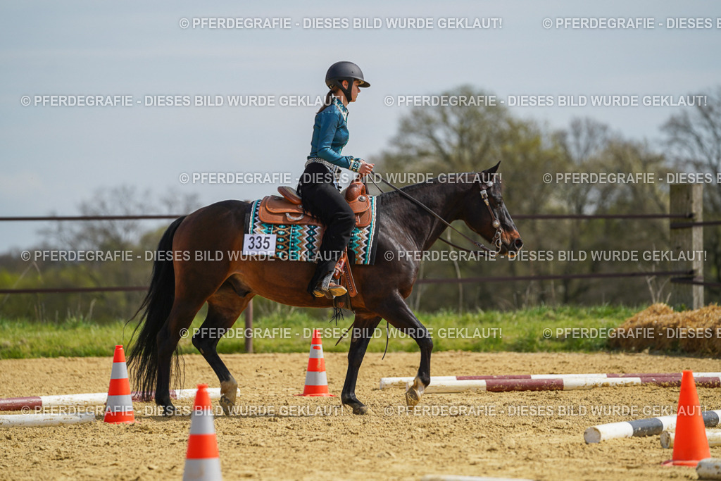 DSC04327 | Pferdegrafie