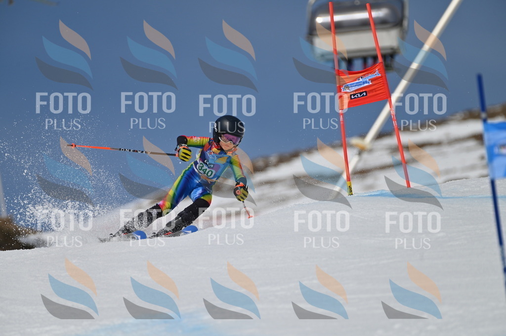 BGV_6739 | holidayphoto