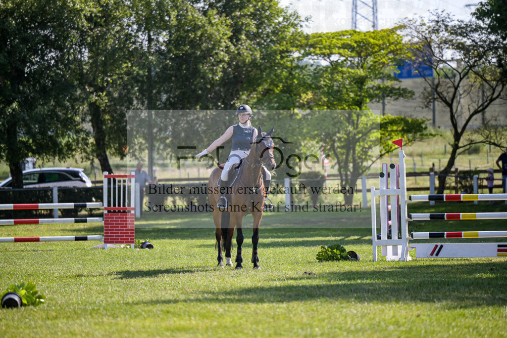 Reitturnier Voxtrup | Entdecke hochwertige Reitturnierfotos von Foto Oger. Professionell, emotional und authentisch – jetzt Lieblingsmomente im Shop bestellen. - Realisiert mit Pictrs.com