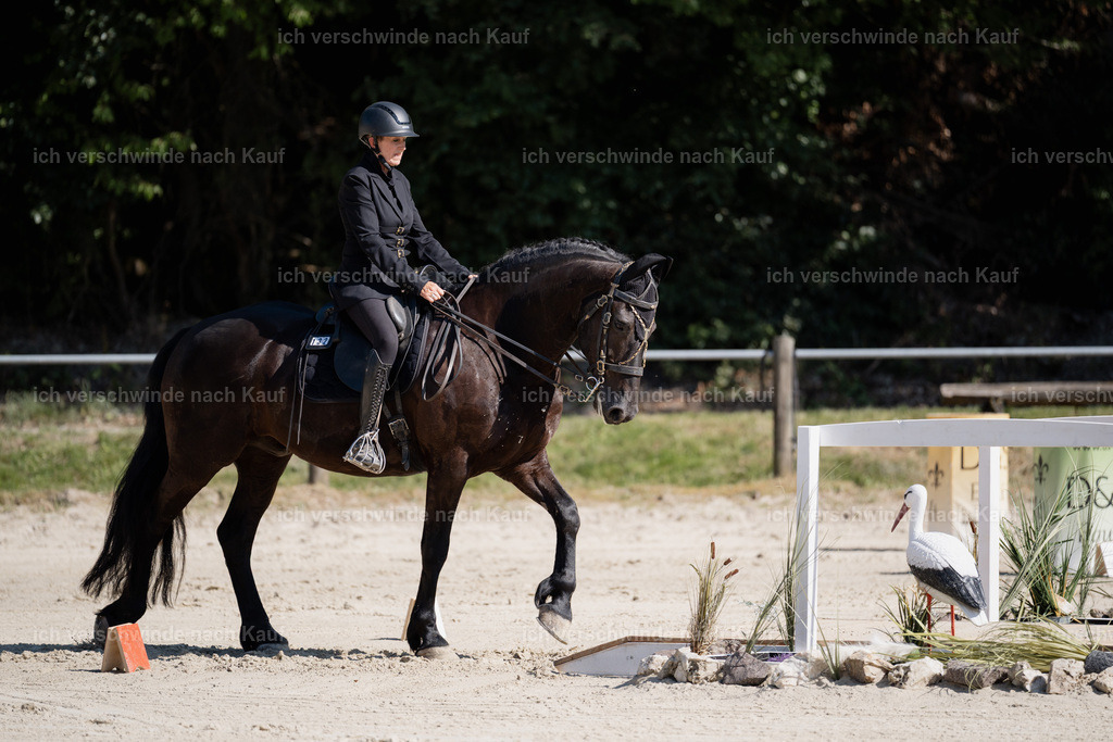WM_ST_132_stoibphotography__SO12020 | working equitationturnier fotograf videograf stoibphotography marixx film working equitation deutschland reitsport turnierfotografie eventfotografie equestrian events