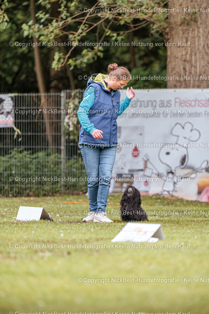 RO-Blumenthal-2026-Nickbest-Hundefotografie-0868 | Dein Hund! Dein Moment! Deine Erinnerungen! Hundefotografie in Bremen Blumenthal. Ich fange die besonderen Momente deines Vierbeiners ein – ob Indoor mit Blitzanlage oder in der freien Natur. Sicher dir dein Moment und dein Termin für eure Erinnerungen.