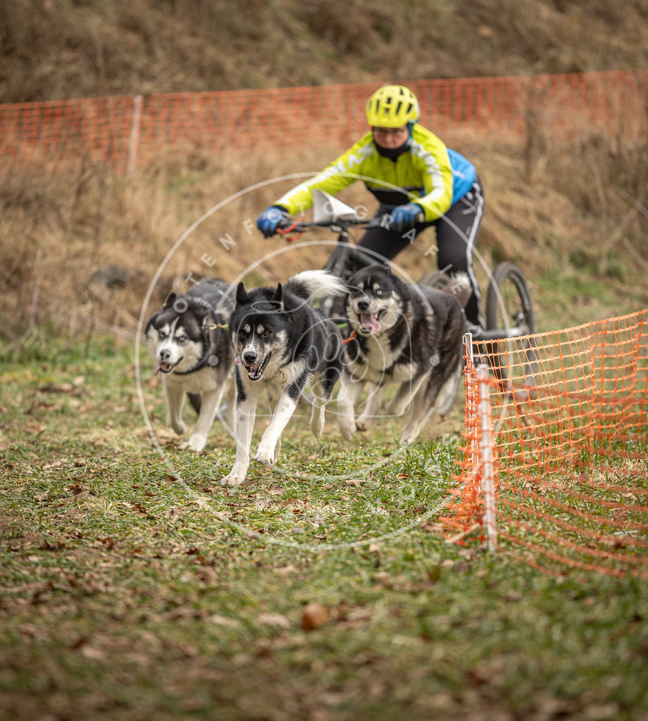 Pfotenfotografie_DV3A8576 | Hundefotografie, Tierfotograf, Pfotenfotografie, Fotoshooting Hund, Hunde Portrait, Hundesport, Hundeportraits, Heideshooting, Hunde, Sportfotograf, Hundefotograf, Turnierhundsport, THS,  - Realisiert mit Pictrs.com
