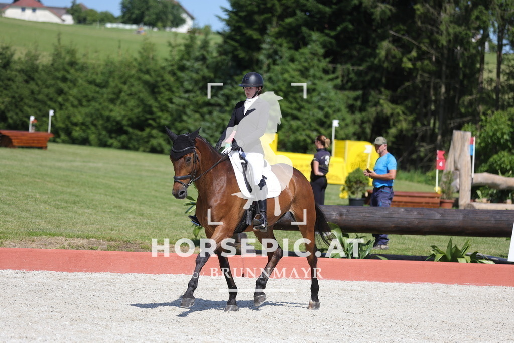 0P6A7509 | Willkommen bei Brunnmayr - Design & Fotografie – Ihrem Spezialisten für Reitturniere und Pferdeveranstaltungen in Oberösterreich, Salzburg und Bayern! Seit über 17 Jahren sind wir leidenschaftlich dabei.