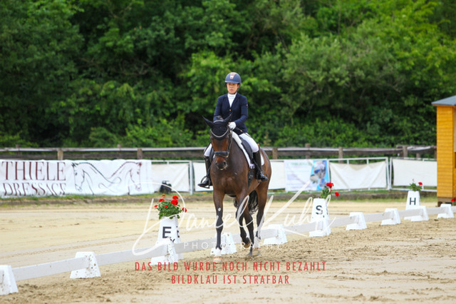 DKP46244 | Turniersportfotografie; Pferdefotografie; Dressurfotografie