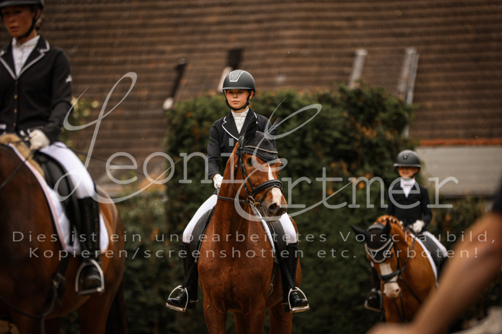 DoDrWB00077 | Leoni Ertmer Photography - Realisiert mit Pictrs.com