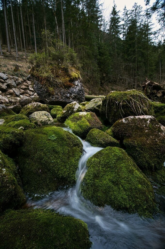 DSC_9916_stack | Unvergessliche Erinnerungen in Bildern festgehalten! Ob Hochzeit, Shooting oder Landschaft  - Ich bin dein Fotograf in Erfurt und Umgebung! Photo-Rauch | Sandro Rauch - Realisiert mit Pictrs.com