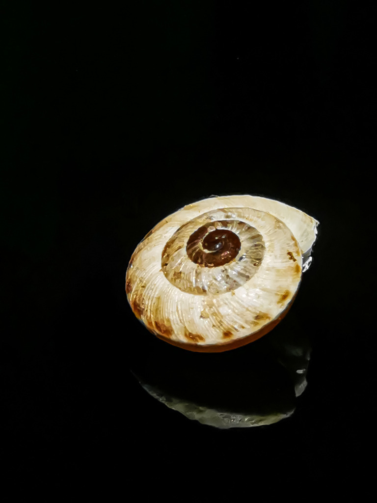 PSX_20230308_233333 | mtkfoto_ - Realisiert mit Pictrs.com