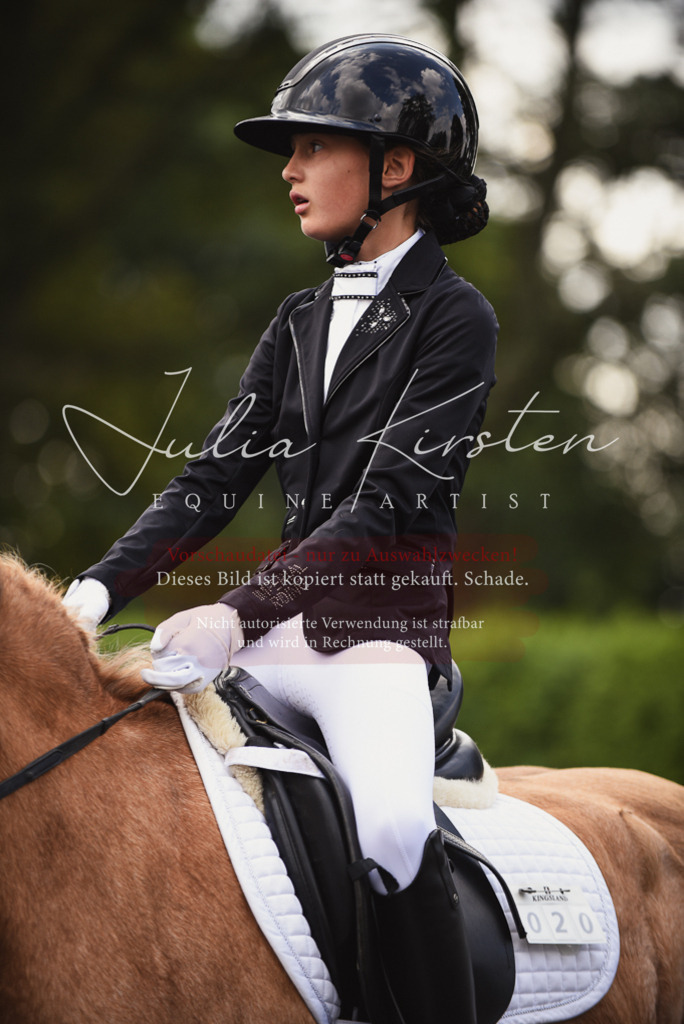 DSC_3847 | Pferde- und Turnierfotografie in Westsachsen. Pferdeportraits, Auftragszeichnungen und intuitive Kunst.