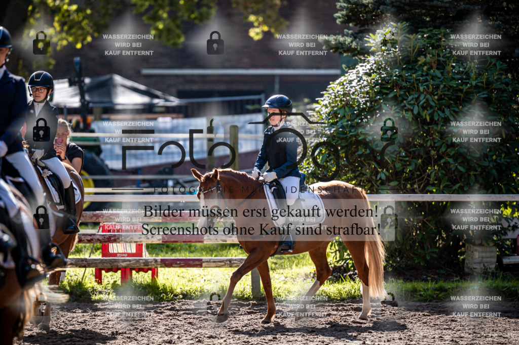 2026-10-Helle-20-4-0014 | Entdecke hochwertige Reitturnierfotos von Foto Oger. Professionell, emotional und authentisch – jetzt Lieblingsmomente im Shop bestellen.Deutschlandweite Turnierfotografie. - Realisiert mit Pictrs.com