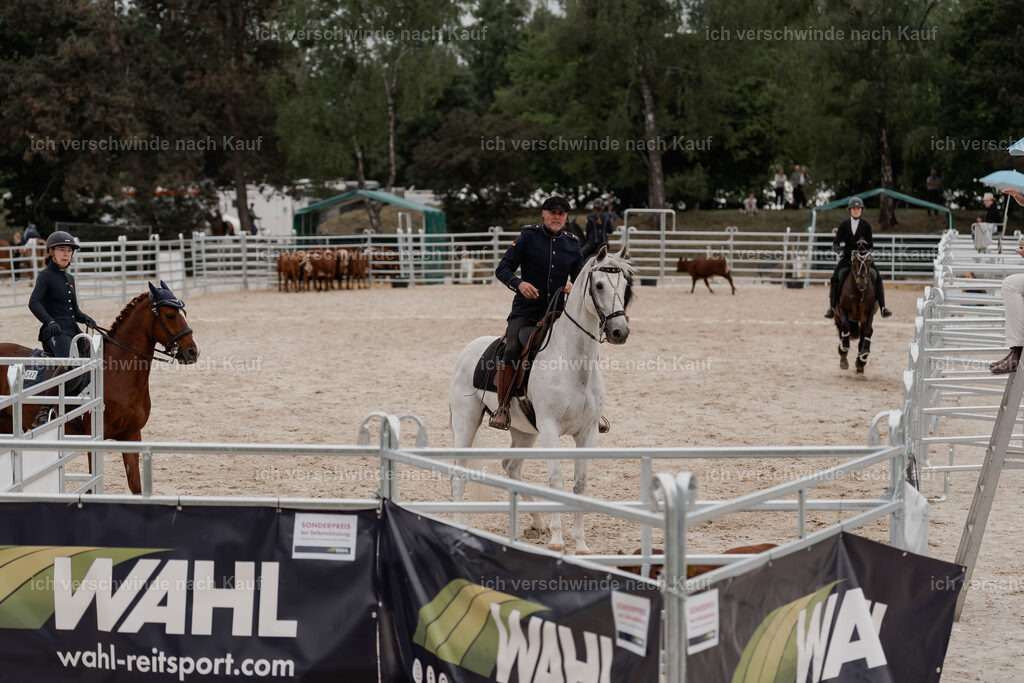 WE__Stoib_Rinder_PI2025_3067 | Pferd International München 2025