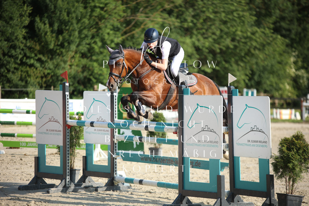 IMGM7903 | pl-fotografie