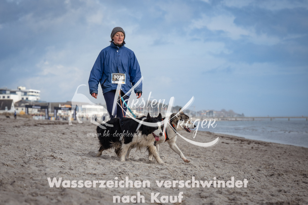 1236_ZZ97751 | kk-dogfotos