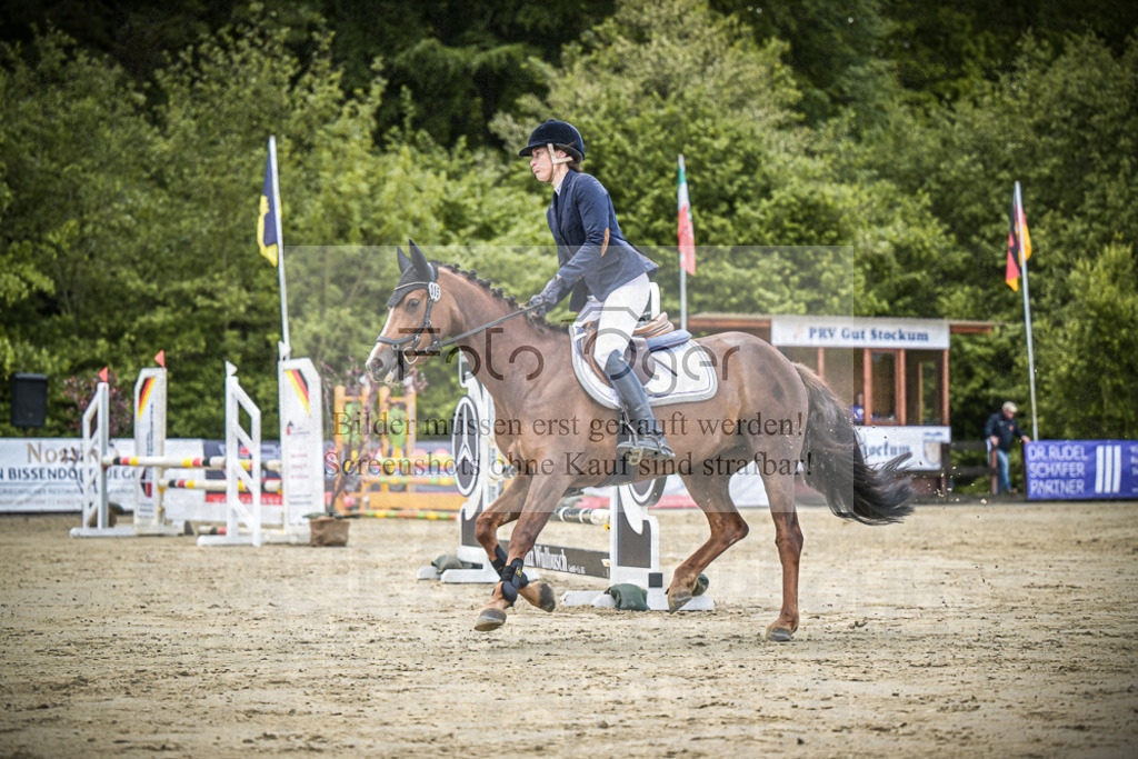 DOS_6597 | Entdecke hochwertige Reitturnierfotos von Foto Oger. Professionell, emotional und authentisch – jetzt Lieblingsmomente im Shop bestellen.Deutschlandweite Turnierfotografie. - Realisiert mit Pictrs.com