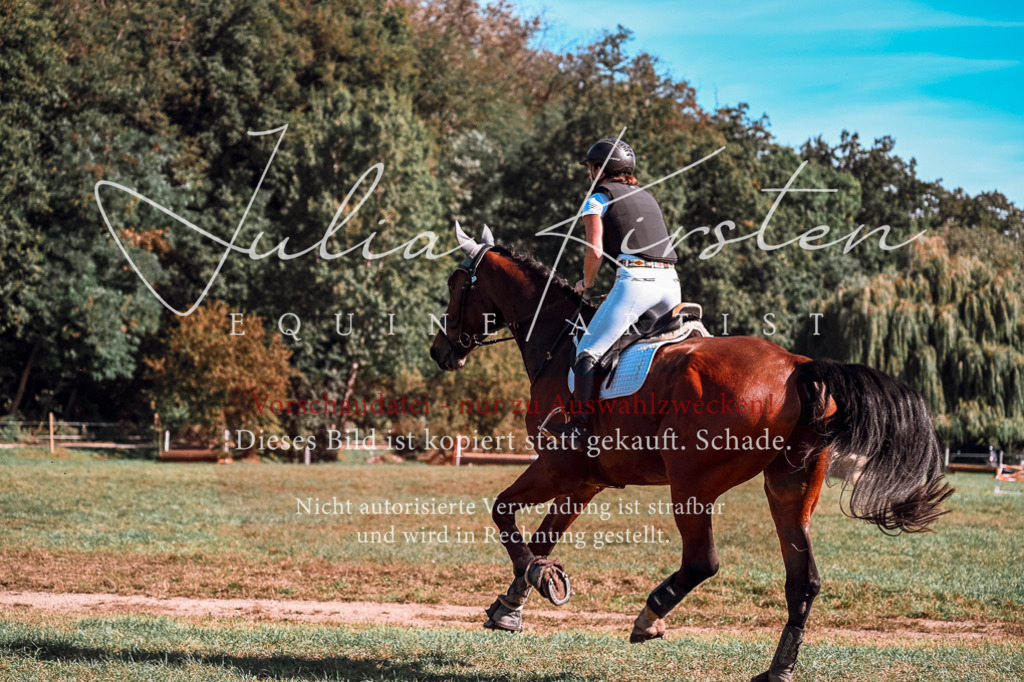 DSC_0988 | Pferde- und Turnierfotografie in Westsachsen. Pferdeportraits, Auftragszeichnungen und intuitive Kunst.