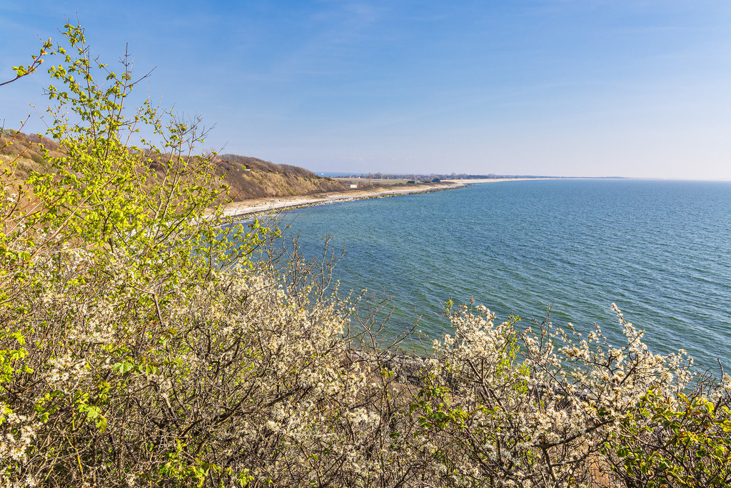 Blick vom Hochuferweg am Dornbusch auf der Insel Hiddensee | Blick vom Hochuferweg am Dornbusch auf der Insel Hiddensee.