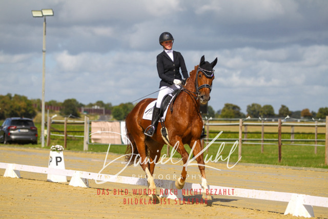 DKP45162 | Turniersportfotografie; Pferdefotografie; Dressurfotografie