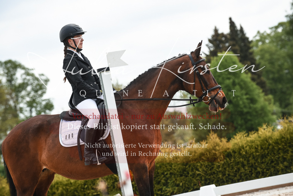 20230518_JK-Röhrsdorf-10-214 | Pferde- und Turnierfotografie in Westsachsen. Pferdeportraits, Auftragszeichnungen und intuitive Kunst.