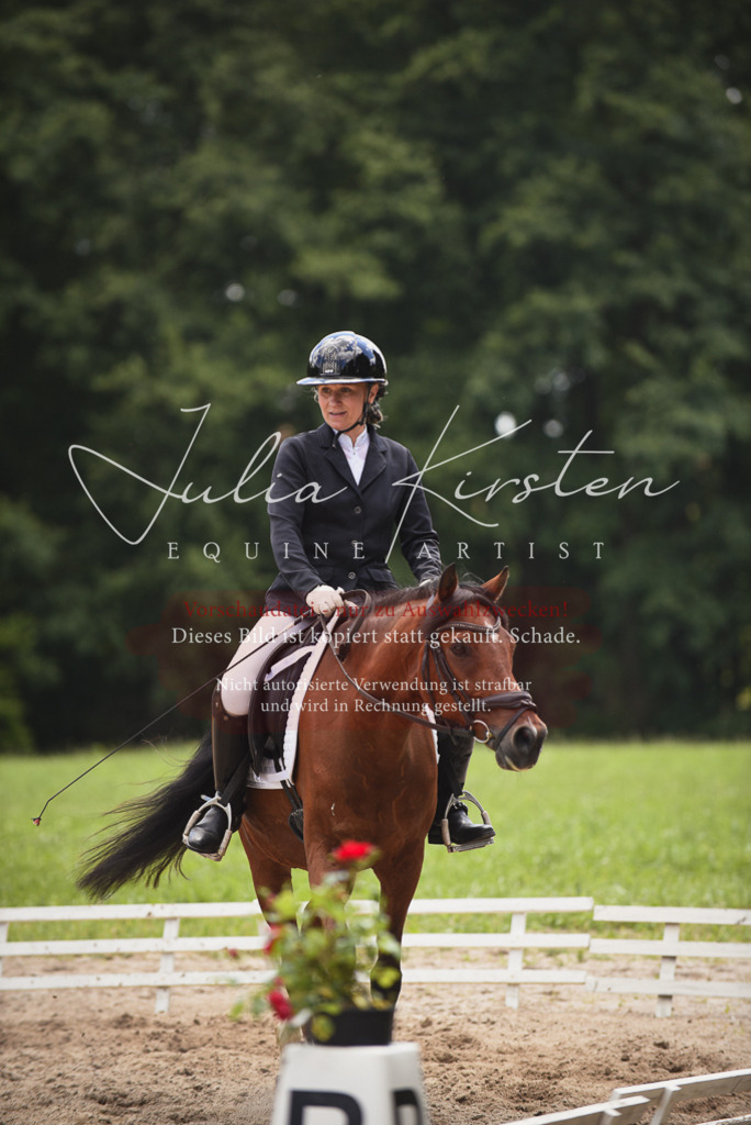 DSC_1566 | Pferde- und Turnierfotografie in Westsachsen. Pferdeportraits, Auftragszeichnungen und intuitive Kunst.