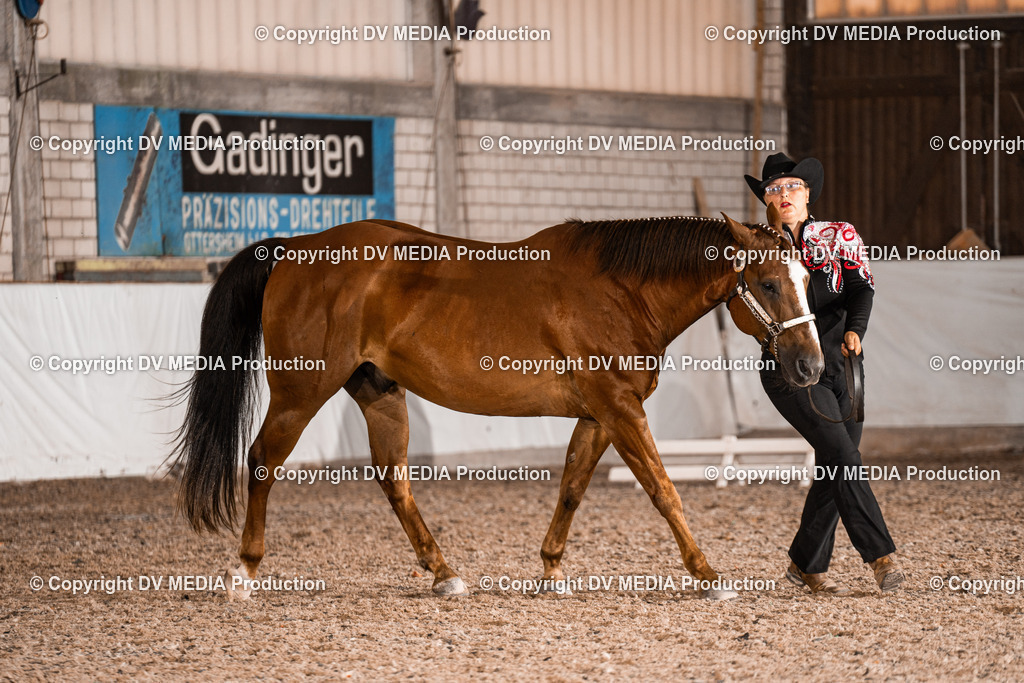 ZH200158 | dv-media-shop - Realisiert mit Pictrs.com