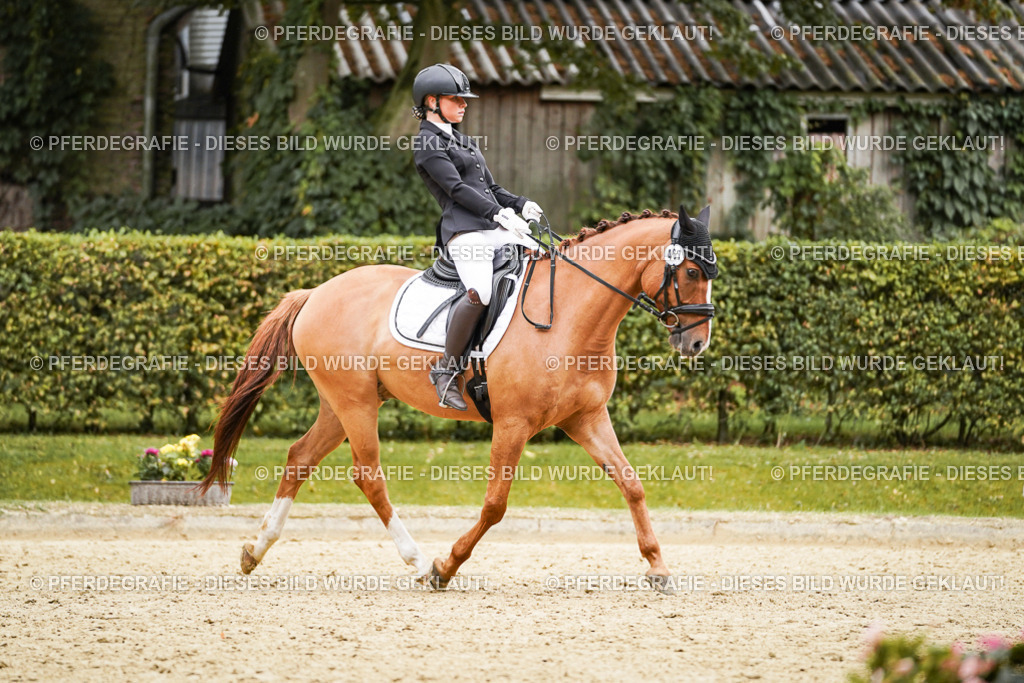 DSC08090 | Pferdegrafie