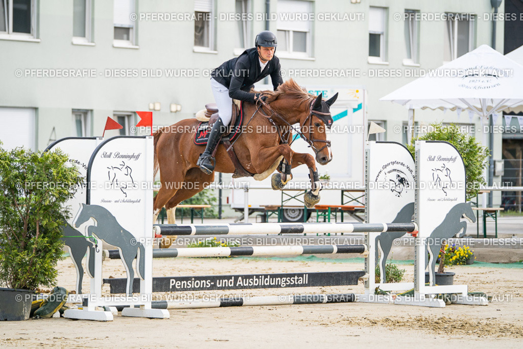 DSC08782 | Pferdegrafie