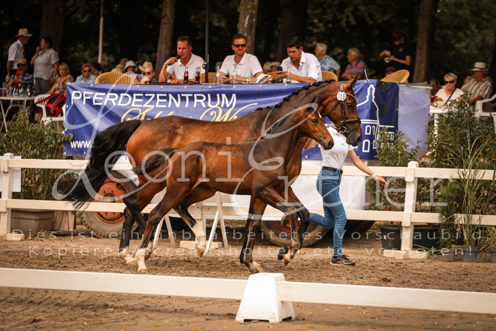 SaPA00206 | Leoni Ertmer Photography - Realisiert mit Pictrs.com