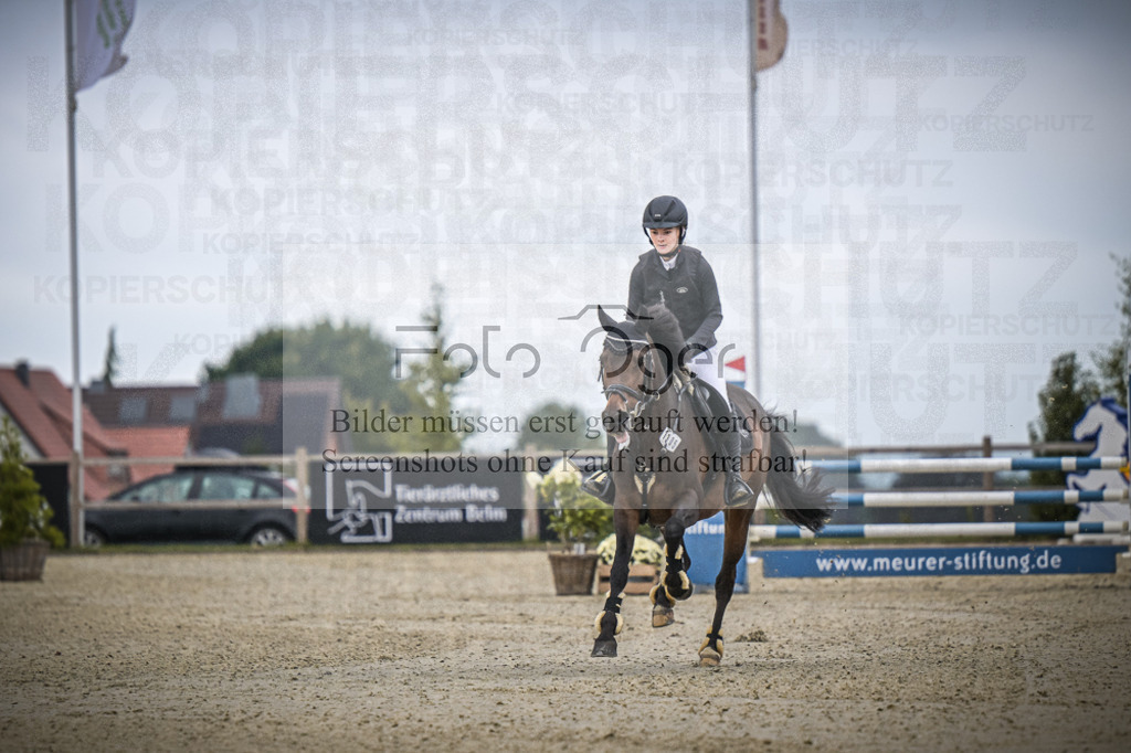 DOS_0131 | Entdecke hochwertige Reitturnierfotos von Foto Oger. Professionell, emotional und authentisch – jetzt Lieblingsmomente im Shop bestellen.Deutschlandweite Turnierfotografie. - Realisiert mit Pictrs.com
