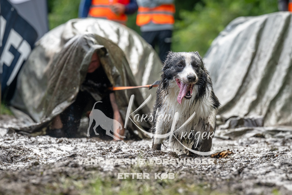 1100_ZZ93283 | kk-dogfotos